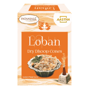 AASTHA LOBAN DRY DHOOP CONE – 20 GM