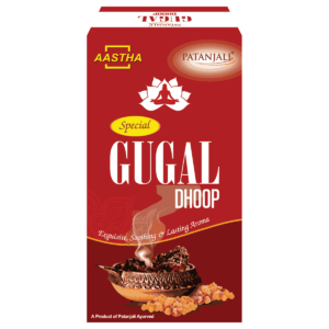 AASTHA SPECIAL GUGAL DHOOP -10 N