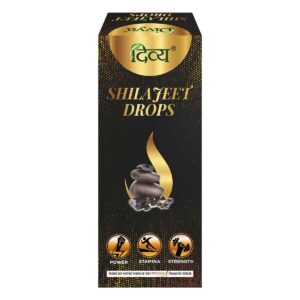 DIVYA SHILAJEET DROPS 30 ML – T
