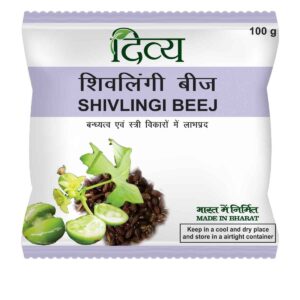 DIVYA SHIVLINGI BEEJ 100 GM – T