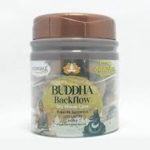 AASTHA BACKFLOW DHOOP CONE BUDHA NEW-160G